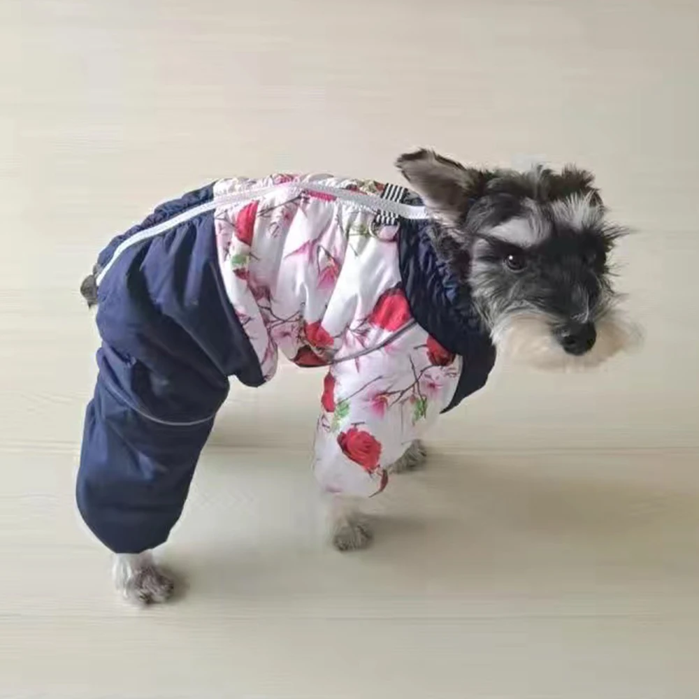 Winter Clothing Boys - Vêtements d'hiver pour animaux de compagnie,