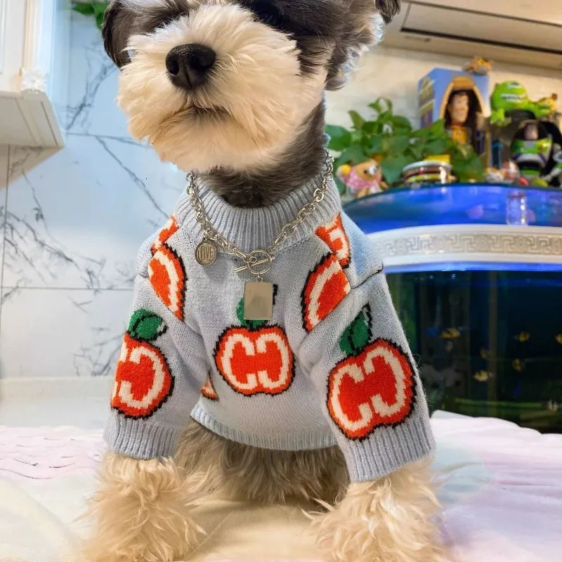 Lettre pull chien vêtements co - Winter Clothing Boys avis et prix
