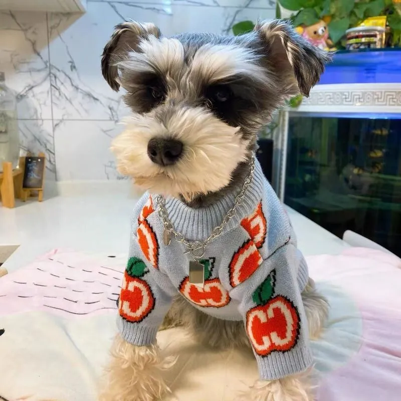 Lettre pull chien vêtements co - Winter Clothing Boys avis et prix