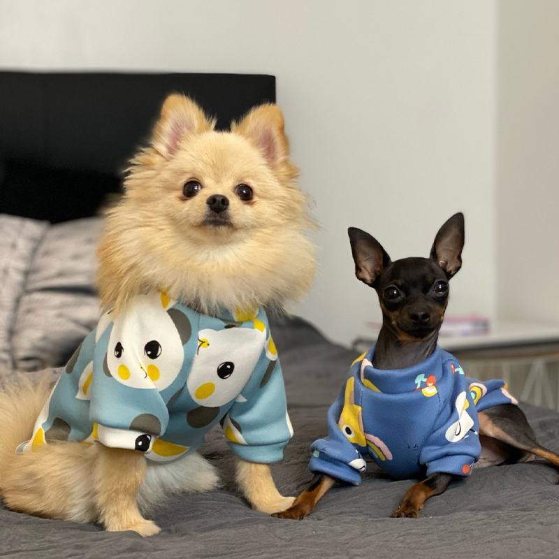Xs vêtements pour chiens pour  - Winter Clothing Boys avis et prix