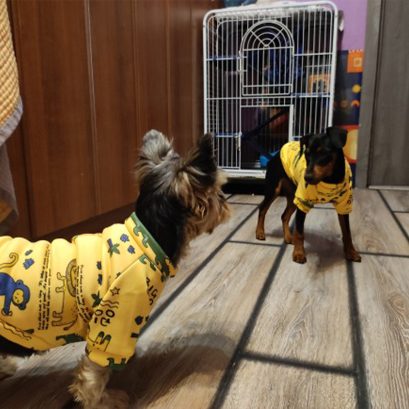 Xs vêtements pour chiens pour  - Winter Clothing Boys avis et prix
