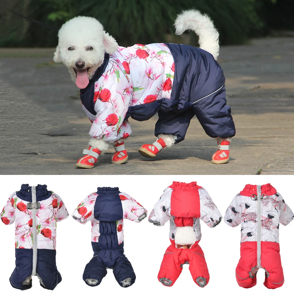 Vêtements d'hiver pour animaux - Winter Clothing Boys avis et prix